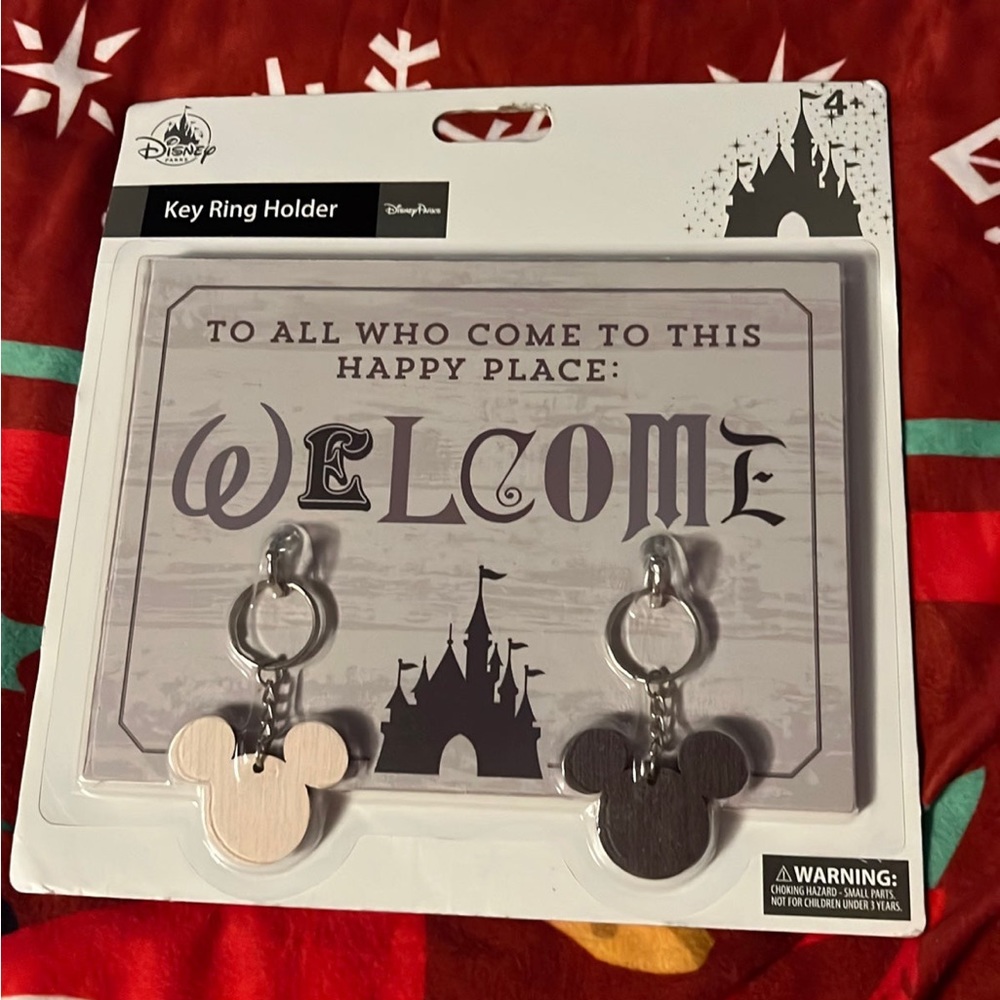 Disney Key Holder